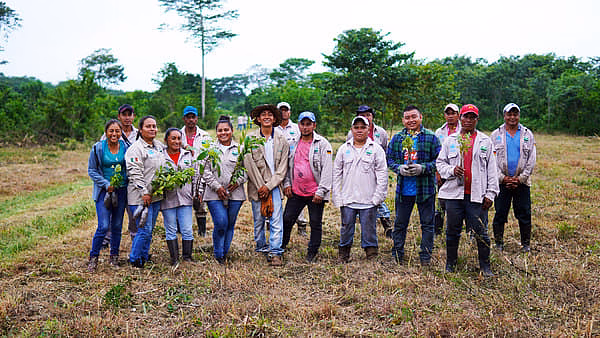 Team Yucatan Island