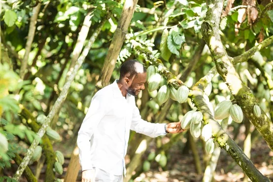 Kakaobauer Farming Program