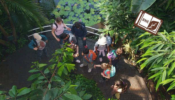 A school class at the tropic house of the Schokoladenmuseum