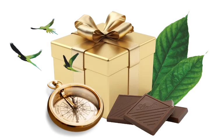 Collage of a gift wrapped in golden paper, decorated with green leaves, chocolate and a golden compass.