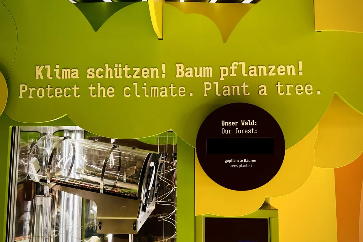 Klima schützen Baum pflanzen