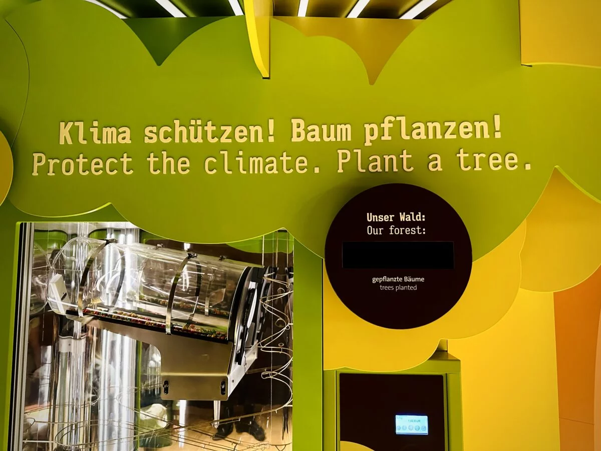 Klima schützen Baum pflanzen