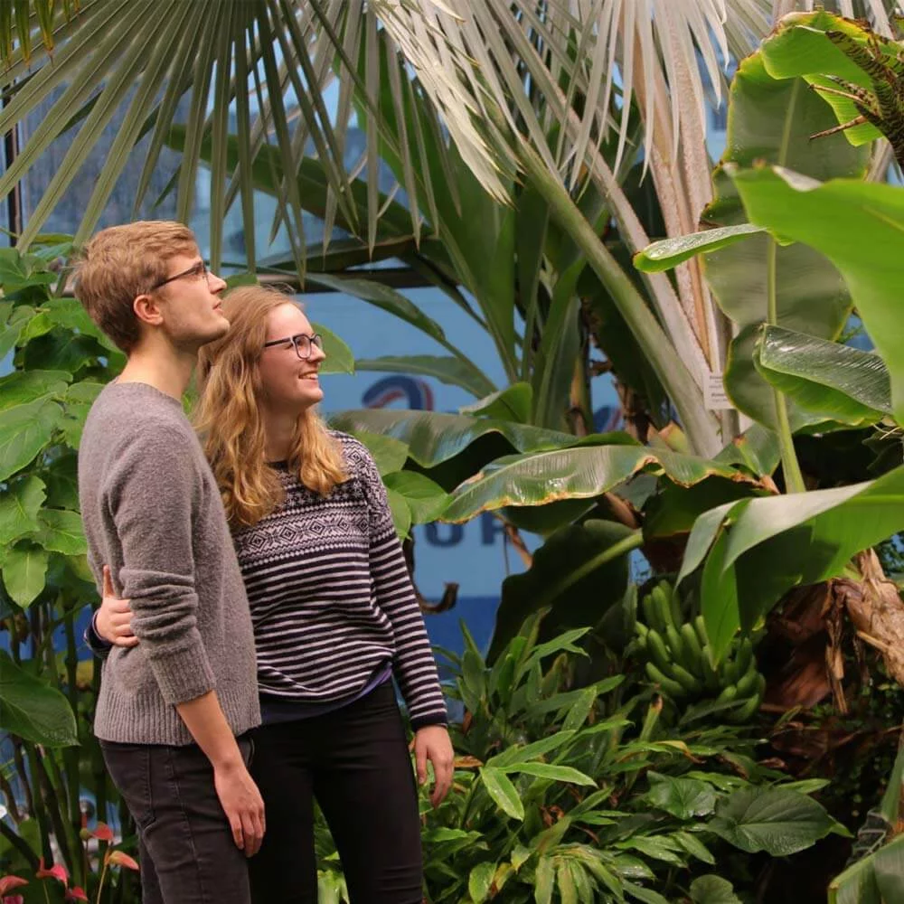 Tropical House in the Chocolate Museum Cologne