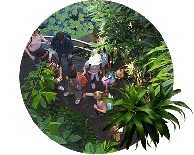Sustainability activities
