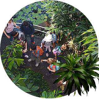 Plant for the Planet cooperation 