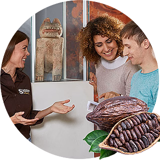 Collection Chocolate Museum